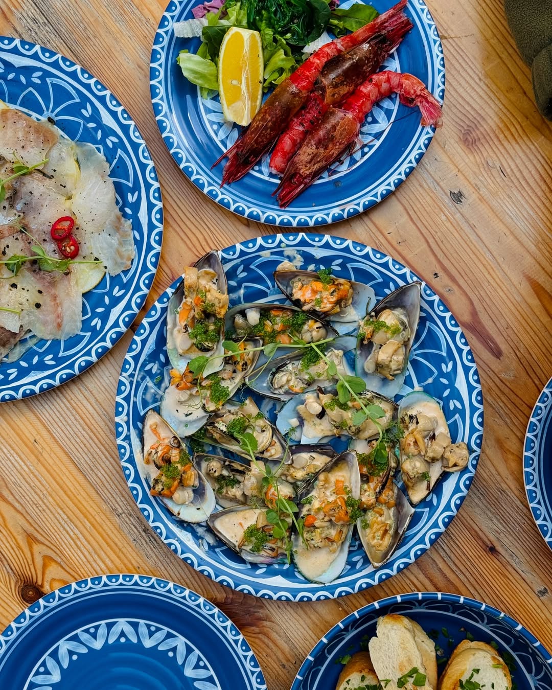 Forty Fishes dish